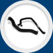 Radiator Hoses